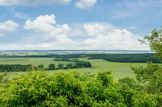 Blick in Richtung Halberstadt/Harzer Vorland von der Altenburg (Aussichtspunkt in Heimburg)